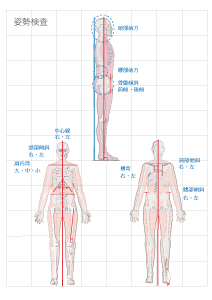 姿勢検査表