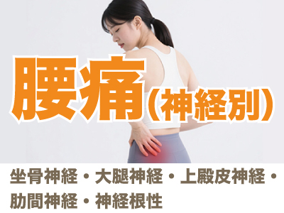 腰痛（神経別）
